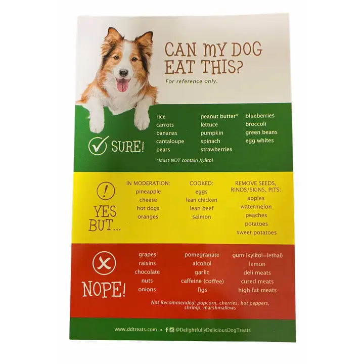 Dog-Safe Foods Fridge Magnet